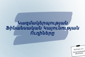 Կազմակերպության Ֆինանսական Կայունության Ուղիները