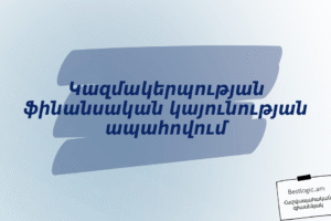Կազմակերպության ֆինանսական կայունության ապահովում