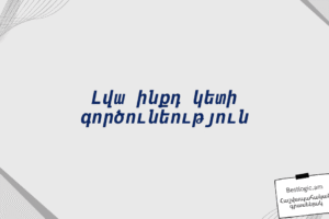 Լվա ինքդ կետի գործունեություն