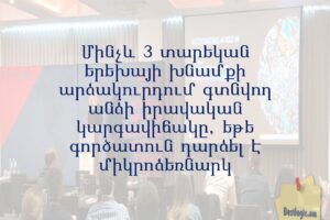 Մինչև 3 տարեկան երեխայի խնամքի արձակուրդում գտնվող անձի իրավական կարգավիճակը, եթե գործատուն դարձել է միկրոձեռնարկ