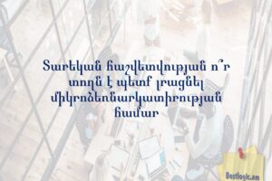 Տարեկան հաշվետվության ո՞ր տողն է պետք լրացնել միկրոձեռնարկատիրության համար