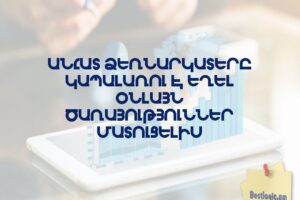 Անհատ ձեռնարկատերը կապալառու է եղել օնլայն ծառայություններ մատուցելիս