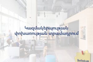 Կազմակերպության փոխառության տրամադրում