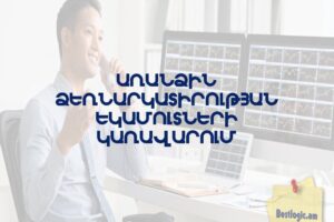 Առանձին ձեռնարկատիրության եկամուտների կառավարում