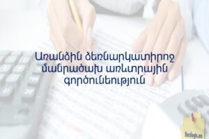 Առանձին ձեռնարկատիրոջ մանրածախ առևտրային գործունեություն