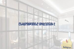 Ընկերությունը միահայտակ է
