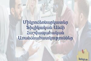 Միկրոձեռնարկատեր Ֆիզիկական Անձի Հաշվապահական Առանձնահատկություններ
