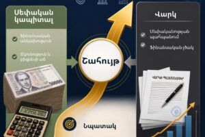 ՍԵՓԱԿԱՆ ԿԱՊԻՏԱԼԸ ՕԳՏԱԳՈՐԾԵ՞Լ, ԹԵ՞ ՎԱՐԿ ՎԵՐՑՆԵԼ․ ՏՆՏԵՍՎԱՐՈՂԻ ՖԻՆԱՆՍԱՎՈՐՄԱՆ ԸՆՏՐՈՒԹՅՈՒՆԸ